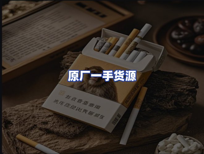 专业团队